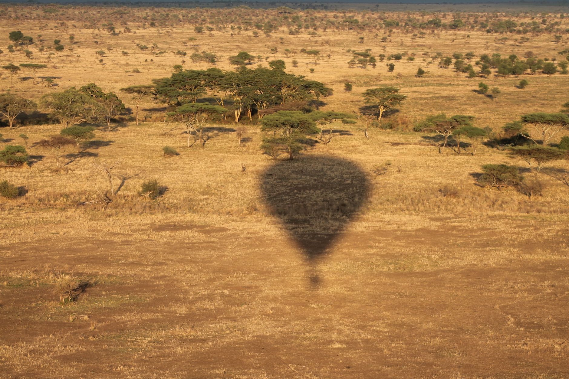 Choisir un camping selon ses attentes : guide pratique